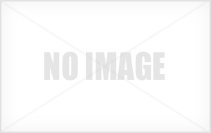 (사)3.1동지회 소개